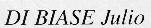 DI BIASE Julio  Entreprise de maonnerie  197b, rue de Mulhouse  68300 Saint-Louis Neuweg  tl: 0389 69 76 69 fax: 0389 69 79 42